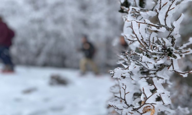 Ciaspolata alla Sellata Monte Arioso - Neve